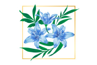 Download Vintage Blue Floral Flower Illustrations - Illustrations Collection